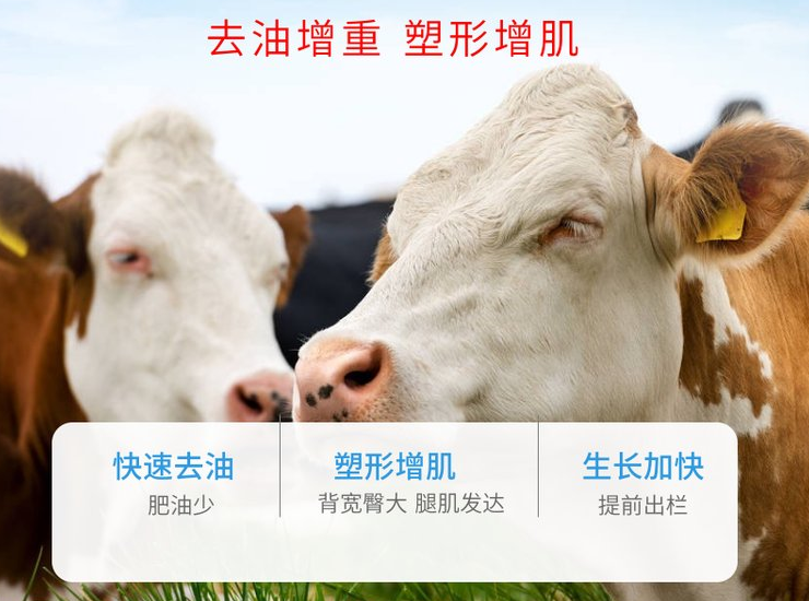 肉牛增重添加剂 提高长肉速度小料 厂家发货35元一包