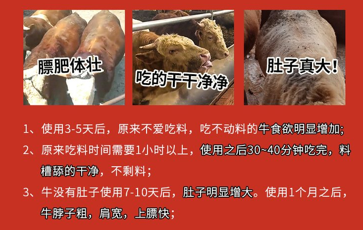 肉牛催肥饲料添加剂有哪些