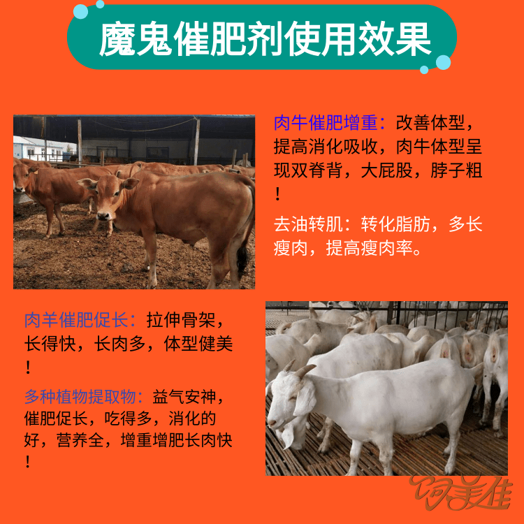 给牛化油用什么药