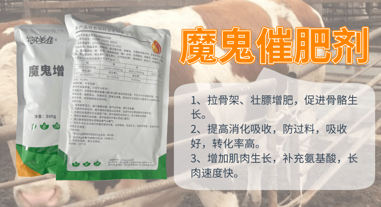 肉牛拉架子添加剂用什么好？